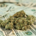 N.E. Council Backs Bank Protections for Pot Industry
