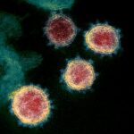 COVID-19 Hospitalizations Back Up to 500